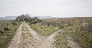 A quiet gravel path forking in two directions under an overcast sky, representing the moment life unexpectedly changes direction