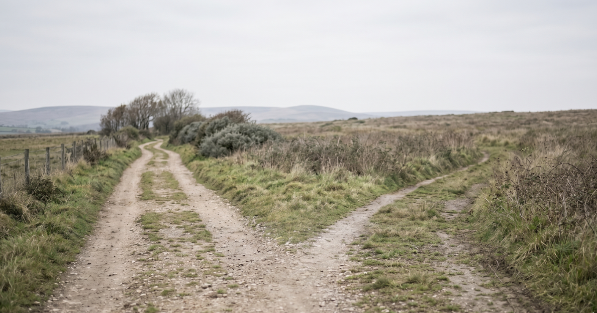 A quiet gravel path forking in two directions under an overcast sky, representing the moment life unexpectedly changes direction